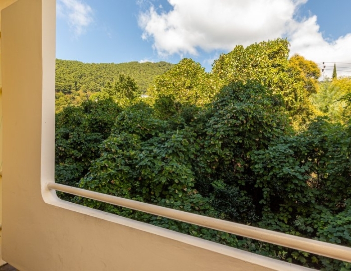 Стандартный 2-мест. 1-комн. (вид на горы) - Пансионат «Багрипш»